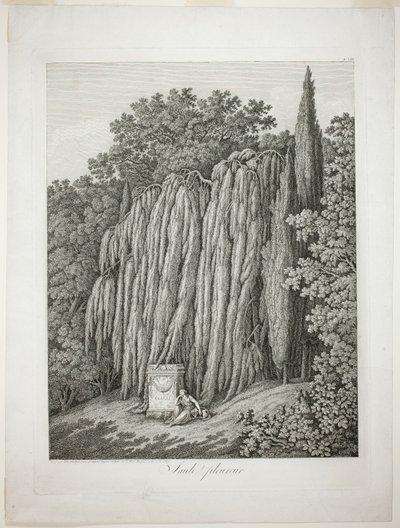 Trauerweide von Jacob Philipp Hackert