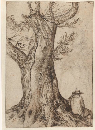 Studie eines Baumstamms von Jacob de Gheyn (II)
