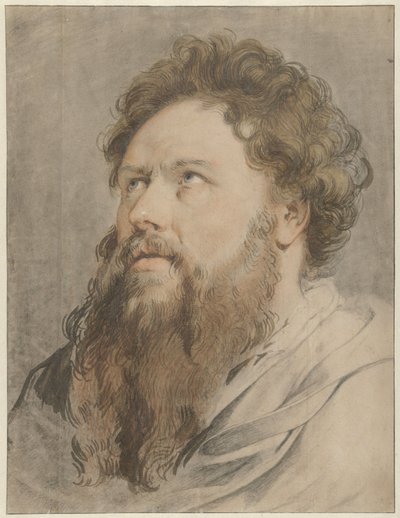 Kopf eines bärtigen Mannes, die Augen nach oben schauend von Jacob de Wit