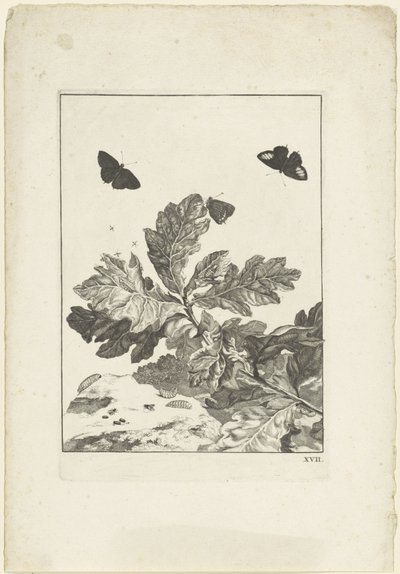 Fliegende Schmetterlinge und andere Insekten über einem Zweig mit Blättern von Jacob l