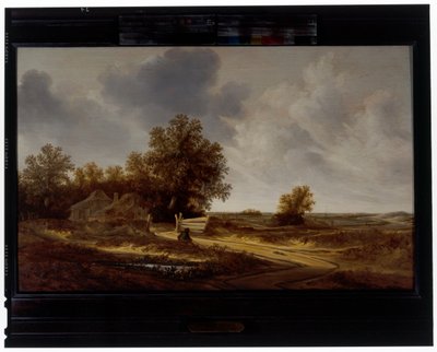Am Straßenrand von Jacob van Mosscher