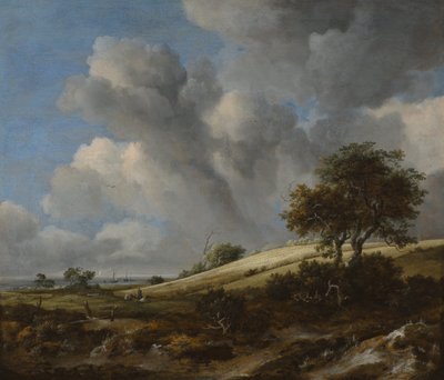 Ein Kornfeld mit dem Zuiderzee im Hintergrund, ca. 1660 von Jacob van Ruisdael