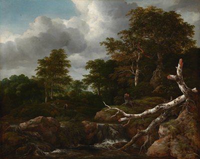 Waldlandschaft von Jacob van Ruisdael