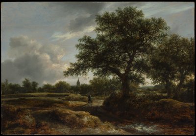 Landschaft mit einem Dorf in der Ferne von Jacob van Ruisdael