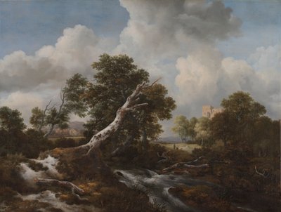 Niedriger Wasserfall in einer bewaldeten Landschaft mit einer toten Buche von Jacob van Ruisdael