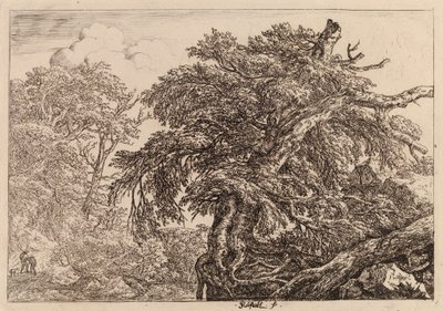 Alter Baum von Jacob van Ruisdael