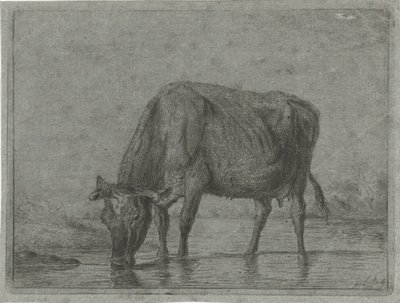 Kuh, die aus einer Pfütze trinkt von Jacobus Cornelis Gaal