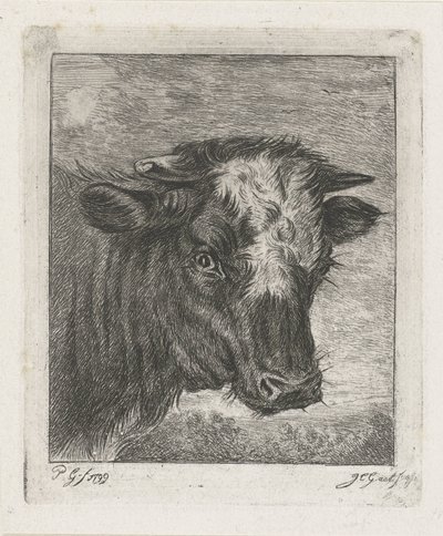 Kopf einer Kuh mit weißer Stirn von Jacobus Cornelis Gaal