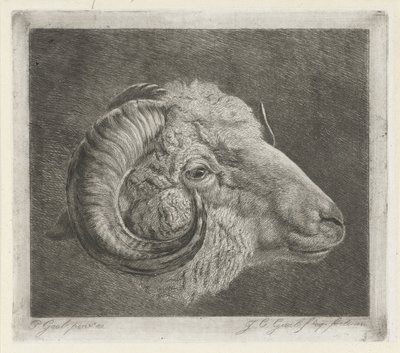 Kopf eines Widders mit nach dem Auge gebogenem Horn von Jacobus Cornelis Gaal