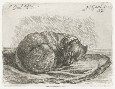Schlafender Hund auf einer Decke von Jacobus Cornelis Gaal