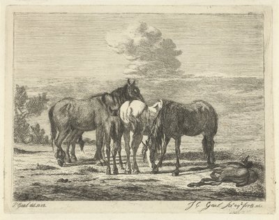 Vier Pferde und zwei Fohlen von Jacobus Cornelis Gaal