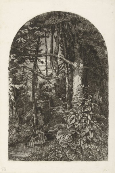 Wald mit Bach von Jacobus Ludovicus Cornet