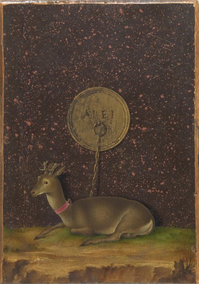 Porträt von Alvise Contarini(?); (verso) Ein angebundener Rehbock von Jacometto Veneziano