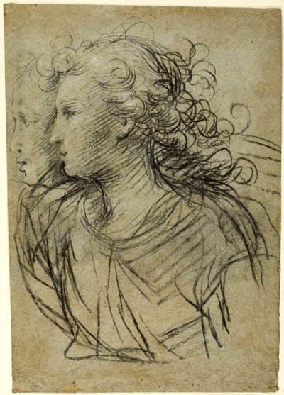 Halbporträt einer Frau im Profil nach links (recto); Halbporträt einer Figur im Dreiviertelprofil (verso) von Jacopo Confortini
