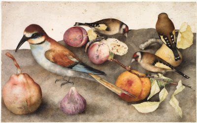 Stillleben mit Vögeln und Früchten von Jacopo Ligozzi