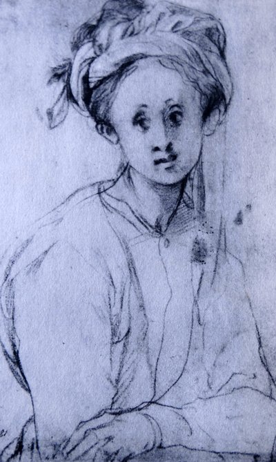 Studie eines jungen Mädchens (Kreidezeichnung) von Jacopo Pontormo