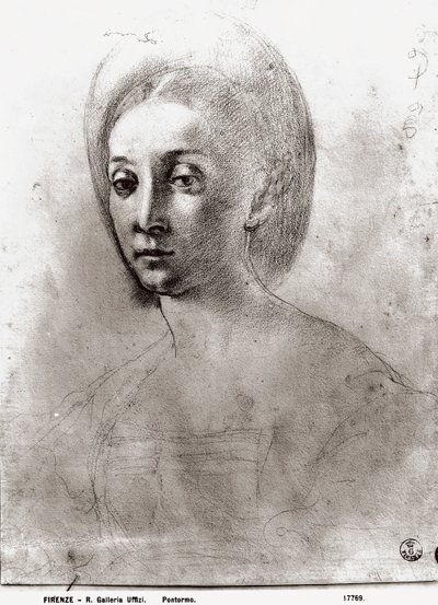 Kopf einer Frau von Jacopo Pontormo