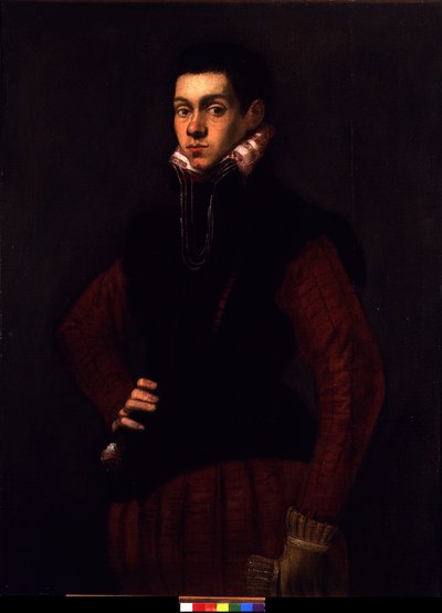 Porträt eines jungen Mannes, um 1565 von Jacopo Robusti Tintoretto
