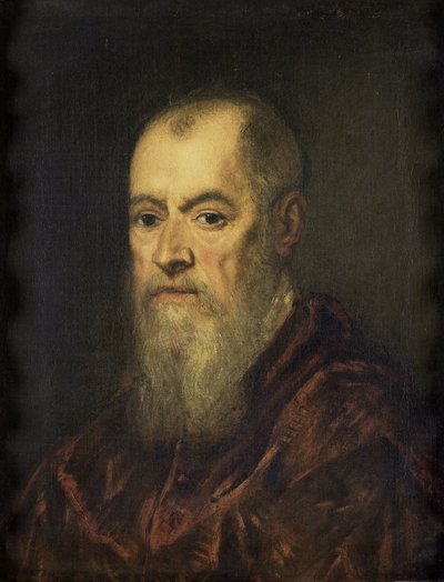 Porträt eines Mannes mit rotem Umhang von Jacopo Tintoretto