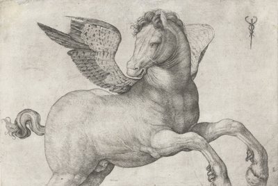 Pegasus, 1509-16 von Jacopo de Barbari