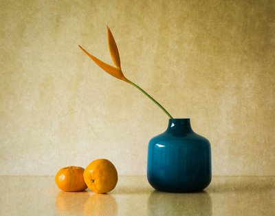 Tropische Blüte und Orangen von Jacqueline Hammer