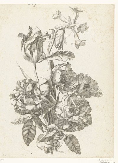 Blumenstrauß mit Pfingstrosen, einer Tulpe und einer Brodiaea von Jacques Bailly (I)