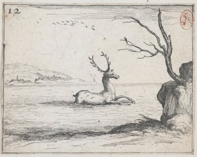 Ein Hirsch im Wasser - Nr. 12 aus der Serie von Jacques Callot