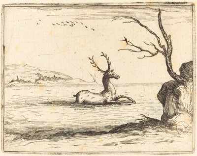 Hirsch im Wasser von Jacques Callot