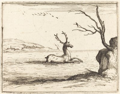 Hirsch im Wasser von Jacques Callot