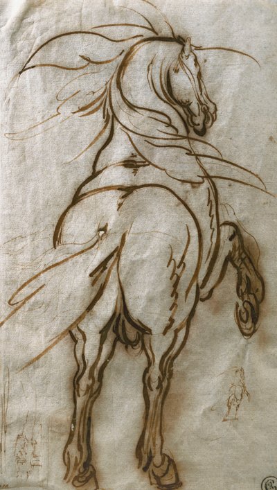 Studie eines sich aufbäumenden Pferdes, mit einer Nebenstudie desselben und einer Stadtansicht von Jacques Callot