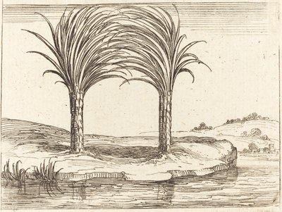 Zwei Palmen von Jacques Callot