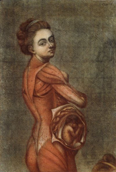 Anatomische Illustration in Farbe einer schwangeren Frau, 1778 von Jacques Fabien Gautier dAgoty