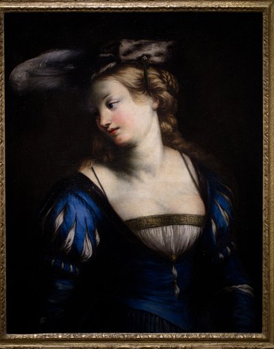 Junge Frau im blauen Mieder von Jacques Francois Courtin