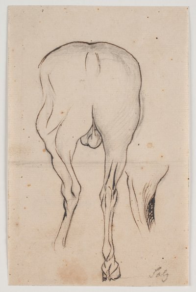 Pferd von hinten gesehen sowie ein Pferdebein von Jacques Francois Joseph Saly
