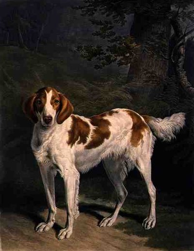 Dash, graviert von Charles Turner, veröffentlicht von R. Ackermann Jnr. von Jacques Laurent (after) Agasse