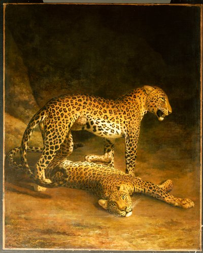 Zwei Leoparden im Exeter Exchange, 1808 von Jacques Laurent Agasse