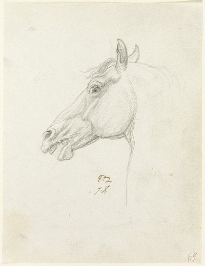 Pferdekopf von Jacques Louis David