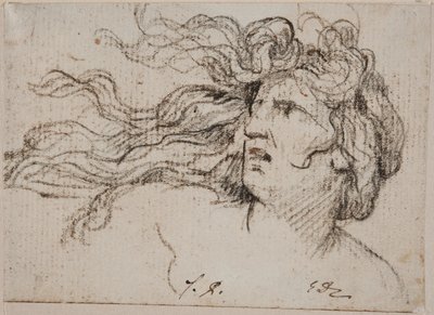 Frauenkopf mit fliegendem Haar von Jacques Louis David