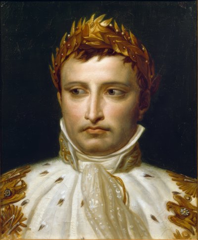 Napoleon I. im Krönungsornat von Jacques Louis David