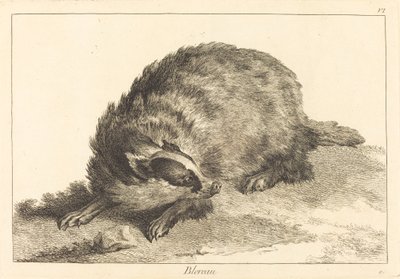 Blereau (Dachs) von Jacques Philippe Le Bas and Jean Eric Rehn after Jean Baptiste Oudry