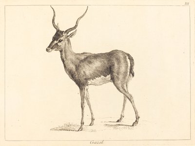 Gazelle von Jacques Philippe Le Bas and Jean Eric Rehn after Jean Baptiste Oudry