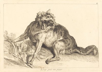 Wolf in einer Falle gefangen von Jacques Philippe Le Bas and Jean Eric Rehn after Jean Baptiste Oudry