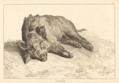 Wildschwein liegend, Kopf nach links (Sanglier) von Jacques Philippe Le Bas and Jean Eric Rehn after Jean Baptiste Oudry