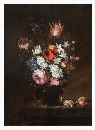 Eine Rose, Tulpe, Iris, Mohnblumen, Geißblatt und andere Blumen in einer Glasvase mit Muscheln auf einem Sims von Jacques de Claeuw