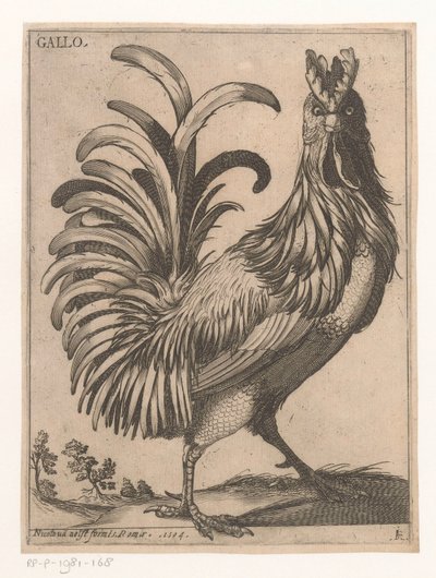 Hahn von Jacques de Fornazeris
