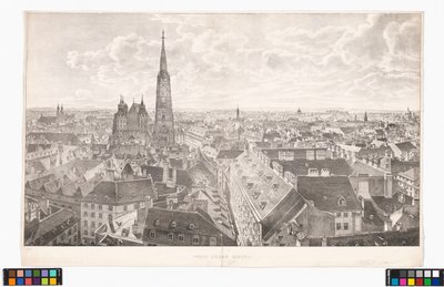 Panorama von Wien gegen Osten, von der Peterskirche aus von Jakob Alt
