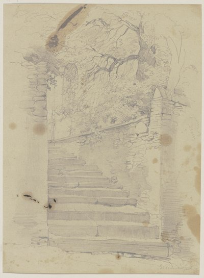 Alte Treppe, umgeben von Bäumen von Jakob Becker