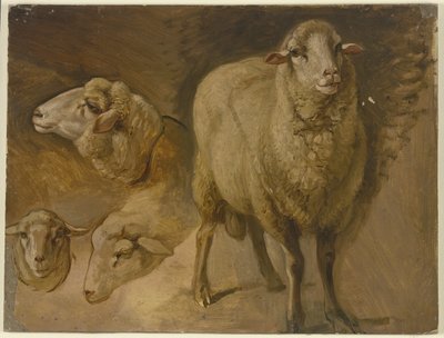  von Jakob Becker