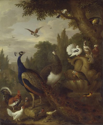 Pfau, Pfauhenne, Papageien, Kanarienvogel und andere Vögel in einem Park, ca. 1708-10 von Jakob Bogdani or Bogdany