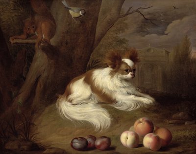 Unbekanntes Bild von Jakob Bogdani or Bogdany